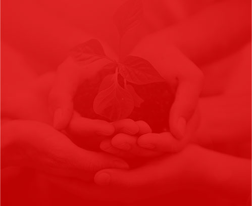 網絡公司景明網絡 網絡公司景明網絡